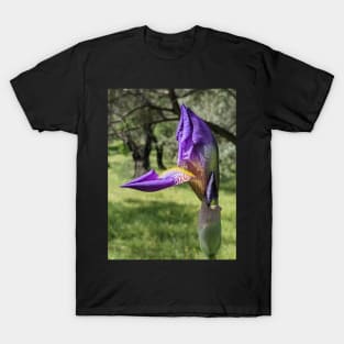 Iris T-Shirt